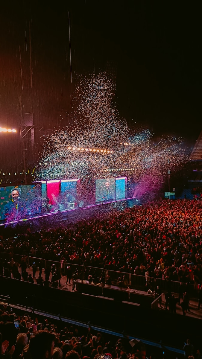 a large crowd of people at a concert